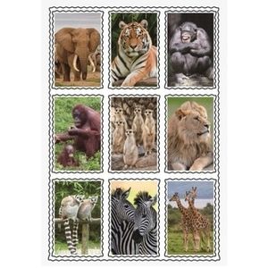 Kinder 3D dieren stickers