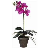 Phalaenopsis Orchidee kunstplant paars in grijze pot H38 x D13 cm - thumbnail