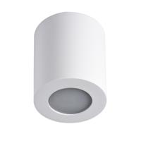 Kanlux 29241 Sani Plafondlamp GU10, Par 16 10 W Wit - thumbnail