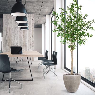 Ficus Exotica Kunstboom op stam 230cm