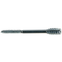 pgb-Europe SMART | Afstandschroef T-drive T25 Ø 6,0x60 Zn | 50 st - SM0SSC0010600603