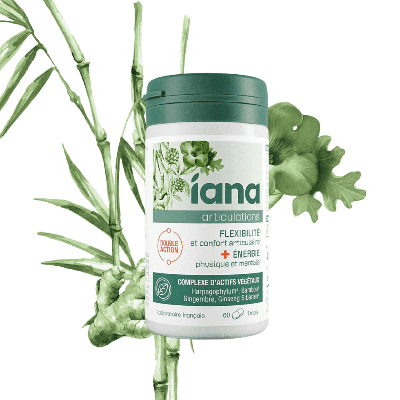 Iana Flexibiliteit & Energie 60 Tabletten