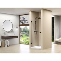 Van Rijn Products ST01 Nisdeur 198.8x69.4cm 8mm helder Clearglas voor nis 70cm zwart beslag ST0110070ZW