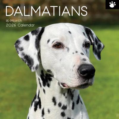 Dalmatiër Kalender 2026