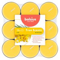 Bolsius Geurtheelichten 4u True Scents Mimosa Bolsius Geurtheelichten 4u True Scents Mimosa