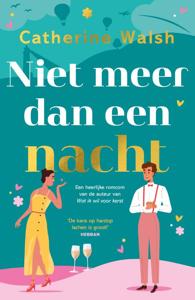 Niet meer dan een nacht (Paperback)