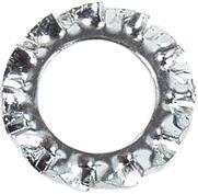 Fix-Nippel Serrated washer fix-nip. m6 zinc