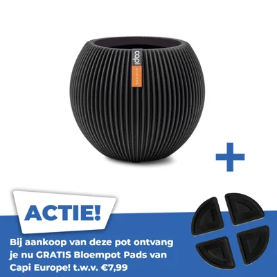 Vaas bol groove d10h9cm zwart Vaas bol groove d10h9cm zwart