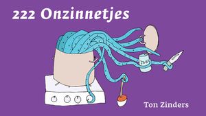 222 Onzinnetjes - Ton Zinders - ebook