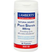 Plant Sterolen 800 mg