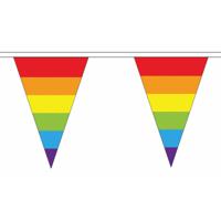 Regenboog vlaggetjes vlaggenlijn - 5 meter - feestartikelen en versieringen - Pride - polyester - thumbnail