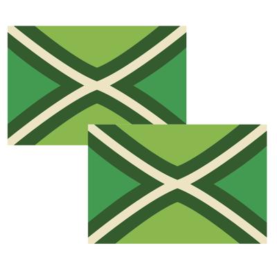 Vlag Achterhoek - 2x - 90 x 150 cm - Achterhoekse Vlag