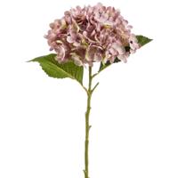 Kunstbloem Hortensia tak - Annabelle - 52 cm - paars - Kunst zijdebloem - Hydrangea