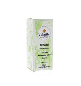 Scharlei