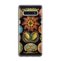 Haeckel Ascidiae: Samsung Galaxy S10 4G Transparant Hoesje