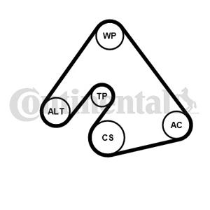 Poly V-riem set CONTINENTAL CTAM, u.a. für Opel, Chevrolet, Vauxhall