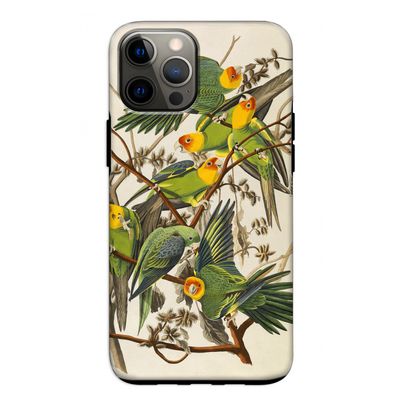 Carolinaparkiet: iPhone 12 Pro Tough Case