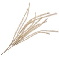 Daan Kromhout Kunsttak zijde xl bruin 150 cm | 12 stuks