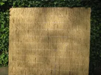 Rietplaat nagy 200x200 cm