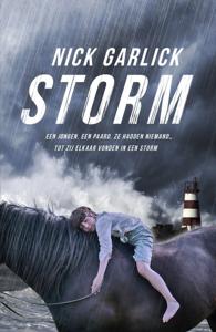 Storm (Paperback)