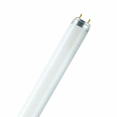 Fluorescerende buis Osram 18 W T8 1300 lm (6500 K)
