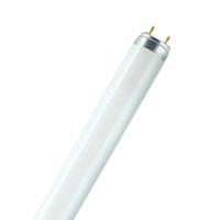 Fluorescerende buis Osram 18 W T8 1300 lm (6500 K)