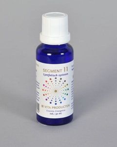 Vita Segment 11 lymfatisch systeem (30 ml)