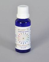 Vita Segment 11 lymfatisch systeem (30 ml)