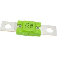 iMaXX megaOTO MGHV125 Stripzekering 125 A Groen 1 stuk(s)