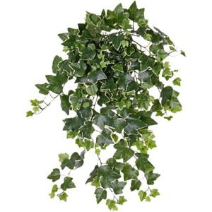 Groene/witte Hedera Helix/klimop kunstplant 65 cm voor buiten