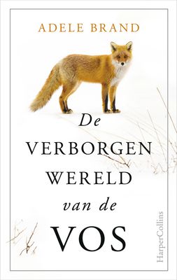 De verborgen wereld van de vos - Adele Brand - ebook
