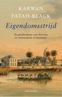 Eigendomsstrijd (Paperback)