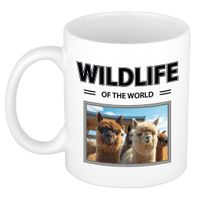 Alpaca mok met dieren foto wildlife of the world