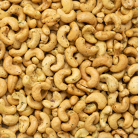 Cashewnoten gekruid 450 gram