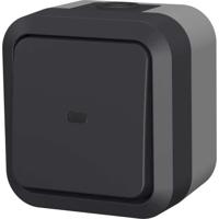 Interruttore bidirezionale - QUARX - Aqua Pro - Esterno, spia luminosa, IP55, 250V