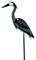 Superfish Reiger S