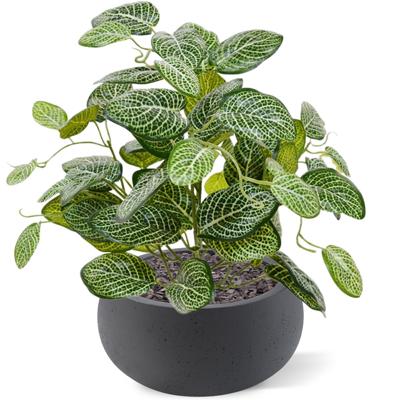 Fittonia kunstplant 40cm - bont