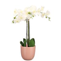 Orchidee kunstplant wit - 75 cm - inclusief bloempot lichtroze glans - thumbnail