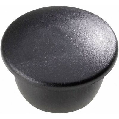 PB Fastener 054 0601 220 03 Blindstoppen Polyethyleen Zwart 1 stuk(s)