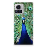 Motorola Moto X30 Pro TPU Hoesje Pauw - thumbnail