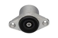 Veerpoot SSM10063