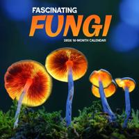 Bijzondere Paddenstoelen Kalender 2026