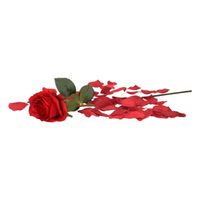 Valentijn rode kunstroos cadeau met bordeaux rozenblaadjes   -