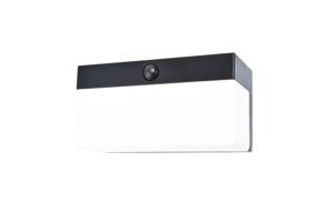 Lutec Zwarte wandlamp Fran solar 6941502330