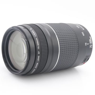 Canon EF 75-300mm F/4-5.6 III occasion