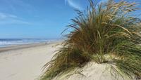 Strand met grasduin 130x70cm Tuinschilderij - Customize it