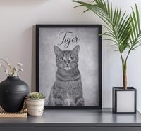 Aangepaste zwart-wittekening andere dieren poster