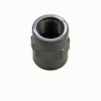 HoZelock Sok 1 inch Binnendraad - Robuuste Tuin Koppeling voor Efficiënte Waterdoorstroming