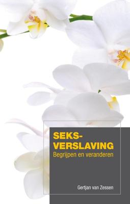 Seksverslaving (Paperback)