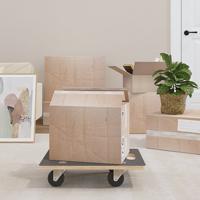 VidaXL Meubelhondjes 2 st rechthoekig 250 kg 50x35x11,5 cm